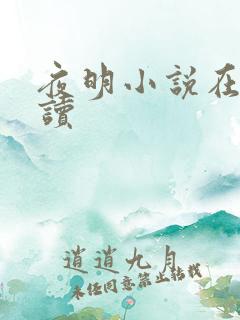 夜明小说在线阅读