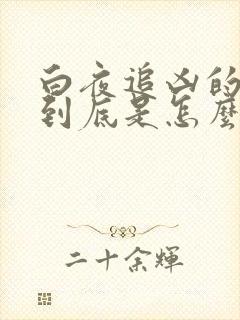 白夜追凶的结局到底是怎么回事