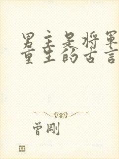 男主是将军女主重生的古言