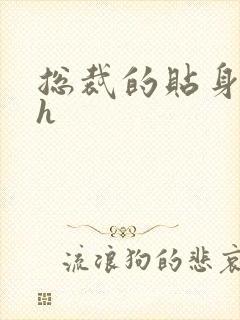 总裁的贴身秘书h