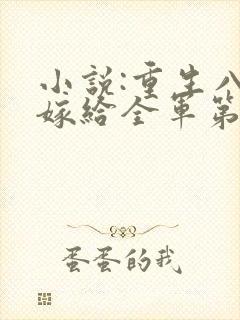 小说:重生八零嫁给全军第一硬汉
