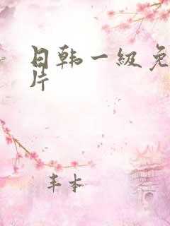日韩一级免费淫片