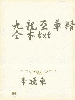 九龙至尊精校版全本txt