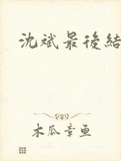 沈斌最后结局