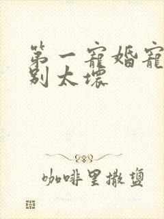 第一宠婚宠总裁别太坏