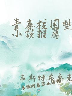青春校园双男主小说推荐