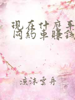 现在什么平台跑网约车赚钱