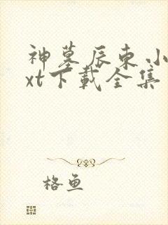 神墓辰东小说txt下载全集
