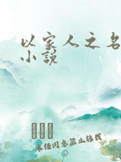 以家人之名原著小说