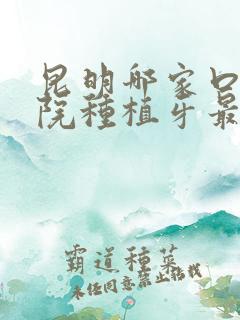 昆明哪家口腔医院种植牙最好