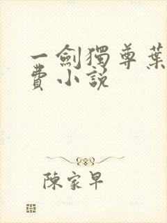一剑独尊叶玄免费小说