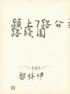 颍上7路公交车路线图