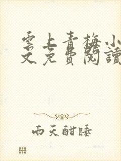 云上青梅小说全文免费阅读无弹窗
