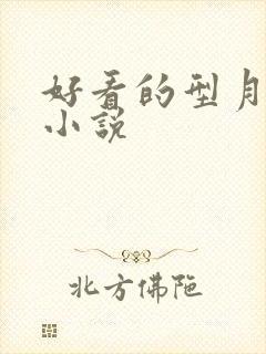 好看的型月同人小说