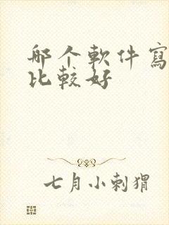 哪个软件写小说比较好