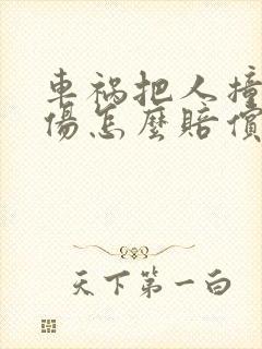 车祸把人撞成重伤怎么赔偿