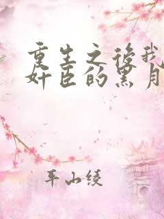 重生之后我成了奸臣的黑月光