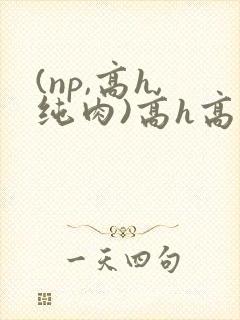 (np,高h,纯肉)高h高辣小说