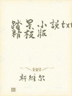 踏星小说txt精校版