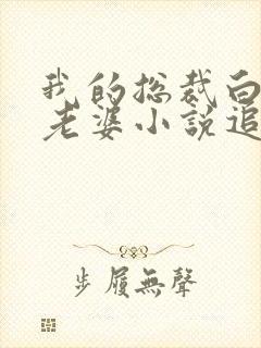 我的总裁白富美老婆小说追书