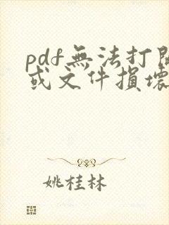 pdf无法打开或文件损坏