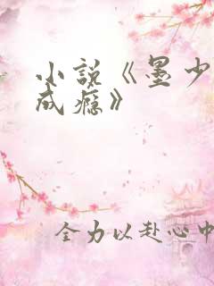 小说《墨少宠妻成瘾》