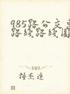 985路公交车路线路线图