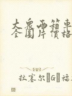 大众两箱车型大全图片价格表
