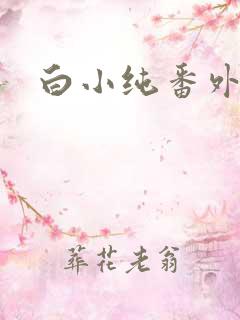 白小纯番外篇