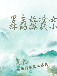 男主姓冷女主姓林的总裁小说
