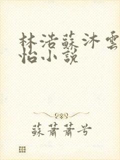 林浩苏沐云李静怡小说