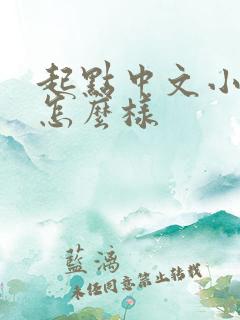 起点中文小说网怎么样