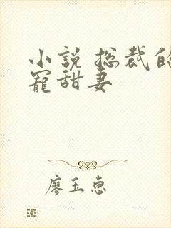 小说 总裁的独宠甜妻