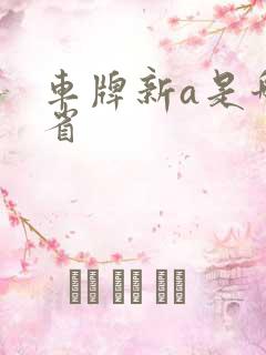 车牌新a是哪个省
