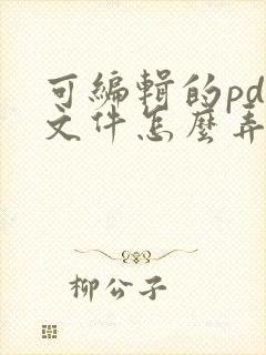 可编辑的pdf文件怎么弄出来