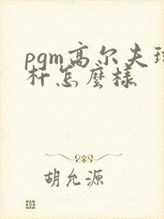 pgm高尔夫球杆怎么样