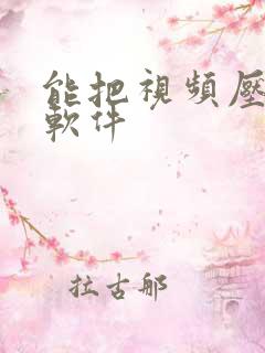 能把视频压缩的软件