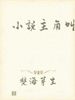 小说主角叫王林