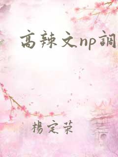 高辣文np调教