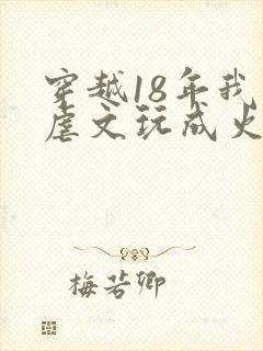 穿越18年我把虐文玩成火葬场