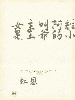 女主叫阿离男主是王爷的小说