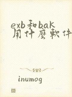 exb和bak用什么软件打开