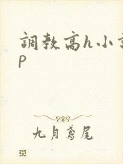 调教高h小说np