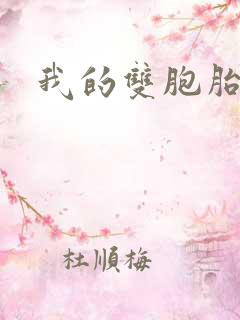 我的双胞胎老婆