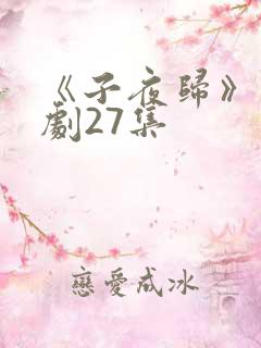 《子夜归》电视剧27集