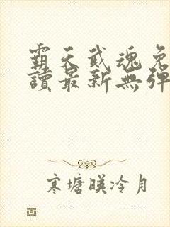 霸天武魂免费阅读最新无弹窗