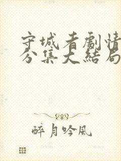 守城者剧情介绍分集大结局