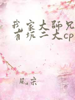 我家大师兄脑子有坑二大cp