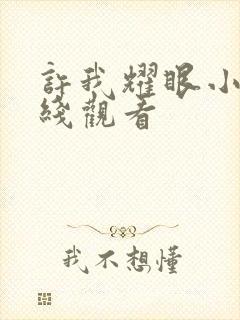 许我耀眼小说在线观看