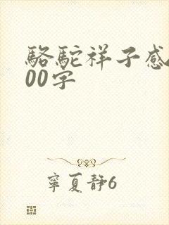 骆驼祥子感悟100字